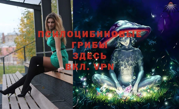 тгк Баксан