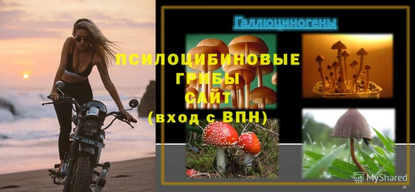 тгк Баксан