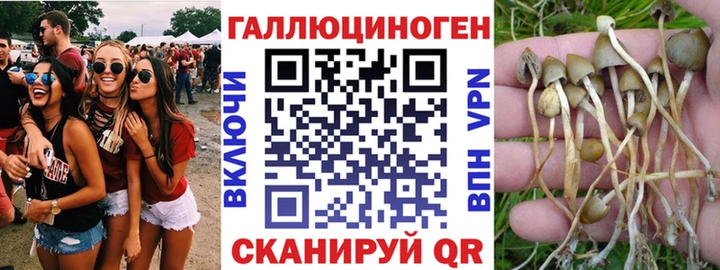 где купить наркоту  Шумерля  Псилоцибиновые грибы прущие грибы 